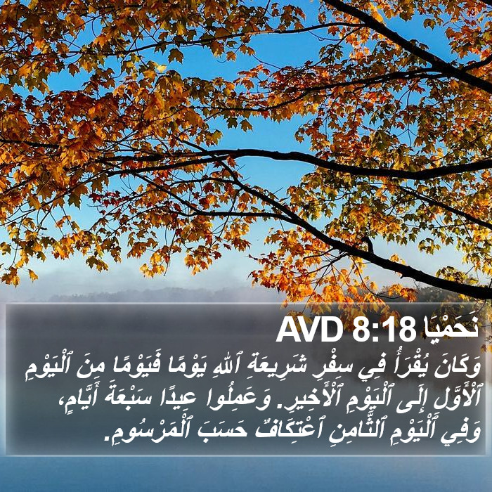 نَحَمْيَا 8:18 AVD Bible Study