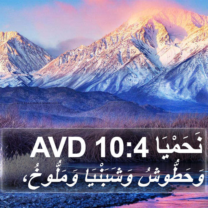 نَحَمْيَا 10:4 AVD Bible Study