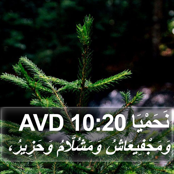 نَحَمْيَا 10:20 AVD Bible Study