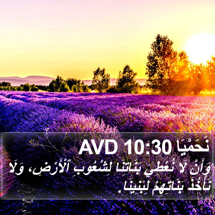 نَحَمْيَا 10:30 AVD Bible Study
