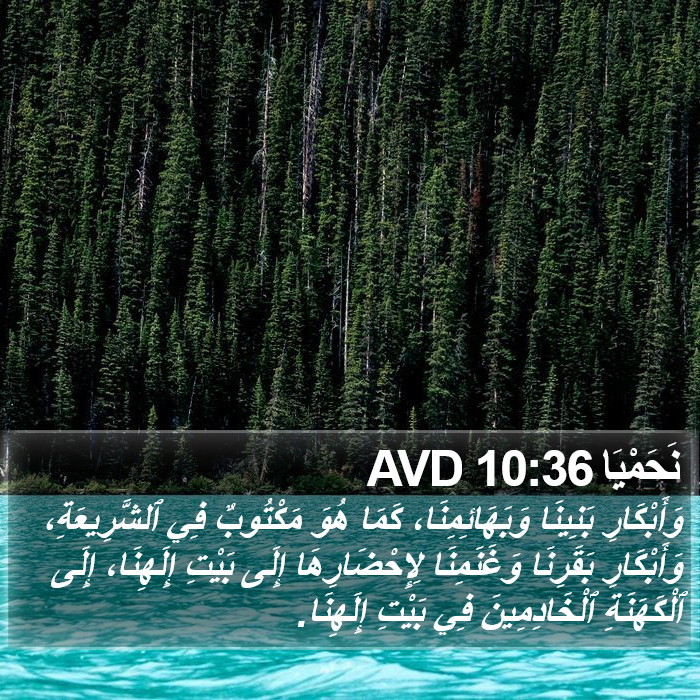 نَحَمْيَا 10:36 AVD Bible Study