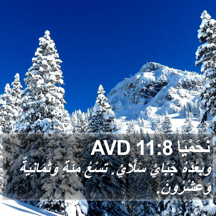نَحَمْيَا 11:8 AVD Bible Study
