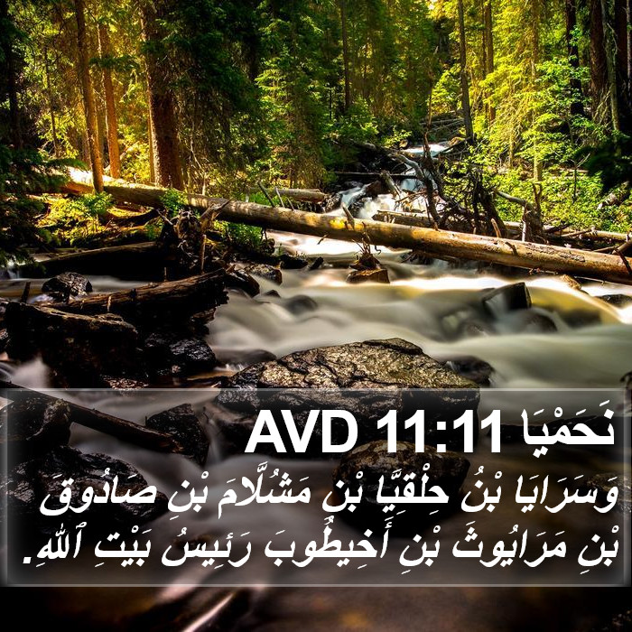 نَحَمْيَا 11:11 AVD Bible Study