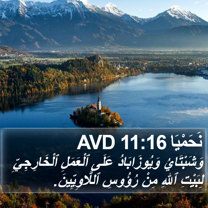 نَحَمْيَا 11:16 AVD Bible Study