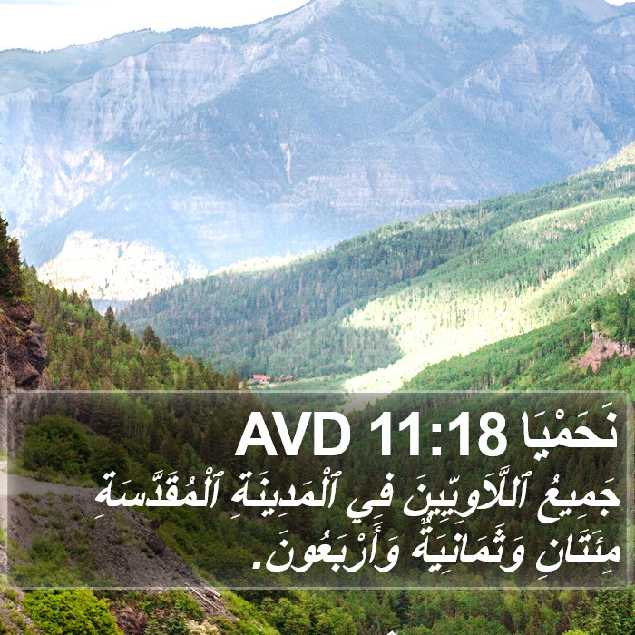 نَحَمْيَا 11:18 AVD Bible Study