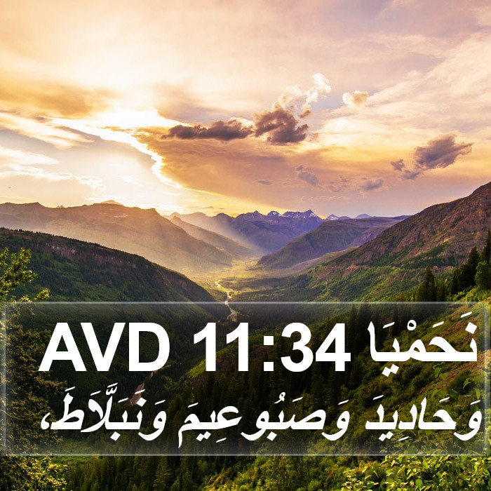 نَحَمْيَا 11:34 AVD Bible Study