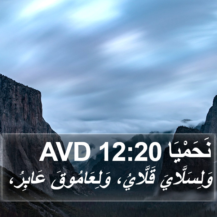 نَحَمْيَا 12:20 AVD Bible Study