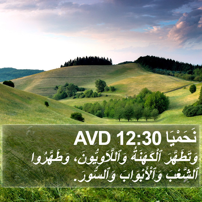 نَحَمْيَا 12:30 AVD Bible Study