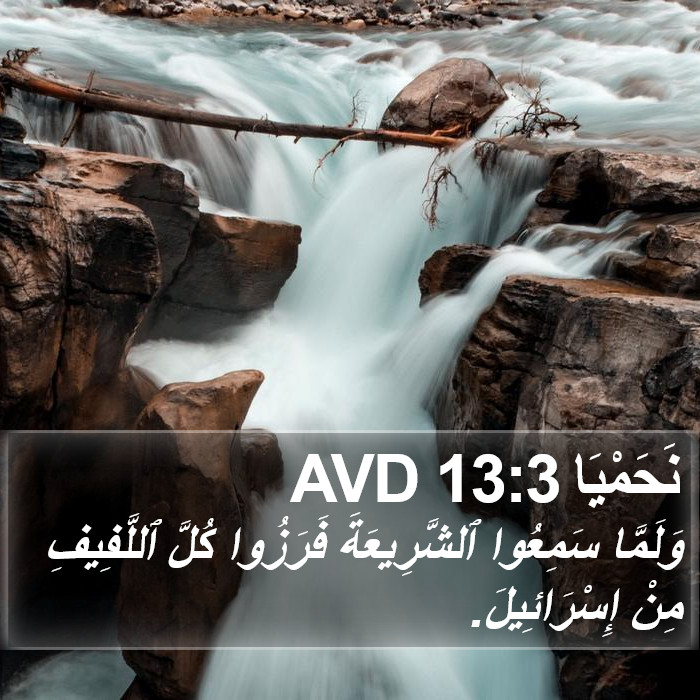 نَحَمْيَا 13:3 AVD Bible Study