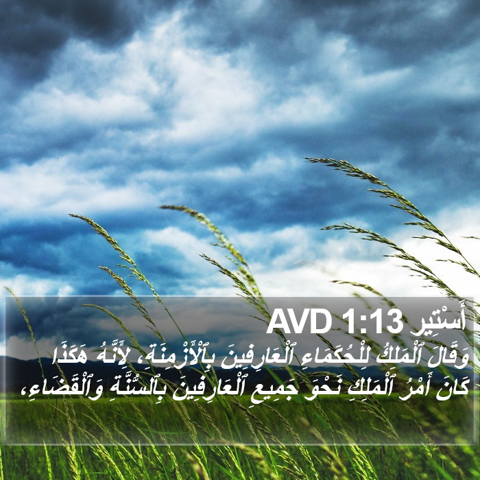 أَسْتِير 1:13 AVD Bible Study