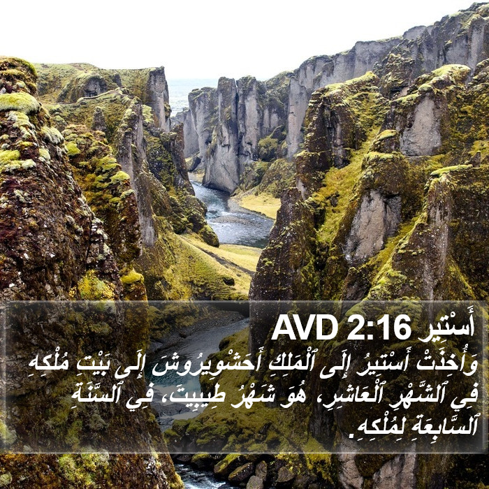 أَسْتِير 2:16 AVD Bible Study