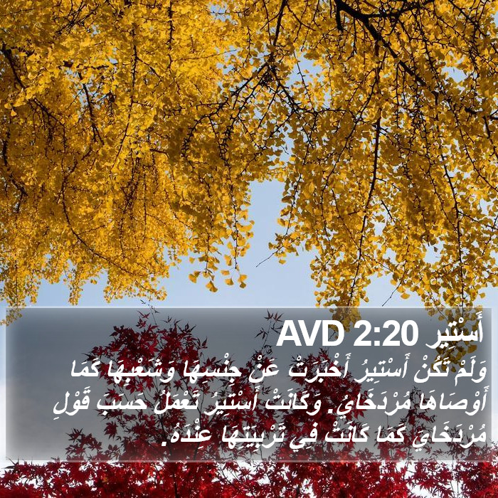 أَسْتِير 2:20 AVD Bible Study