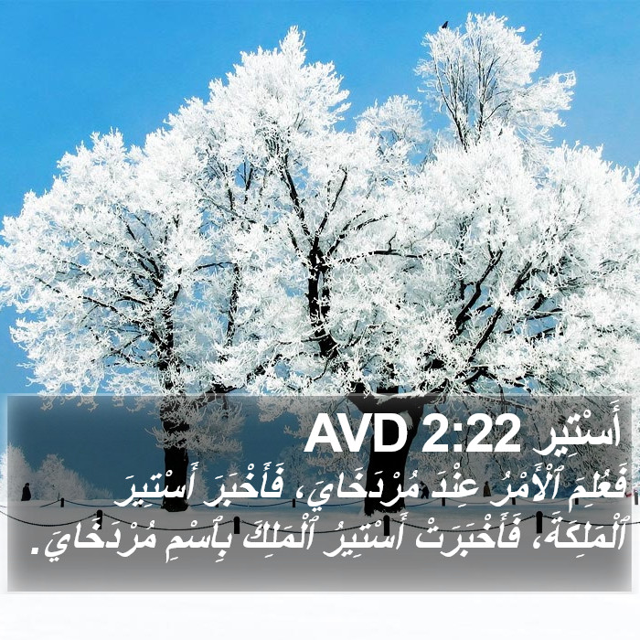 أَسْتِير 2:22 AVD Bible Study