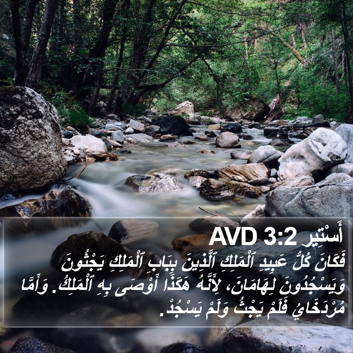 أَسْتِير 3:2 AVD Bible Study