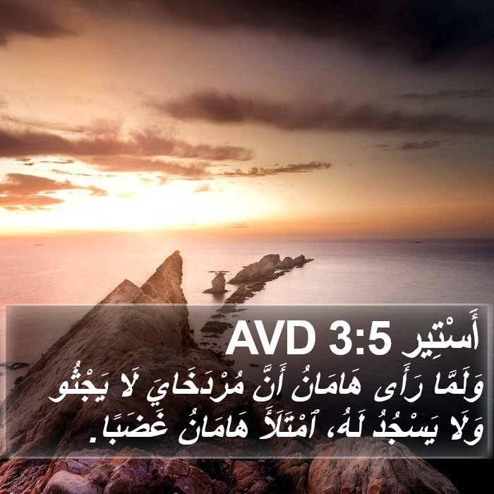 أَسْتِير 3:5 AVD Bible Study