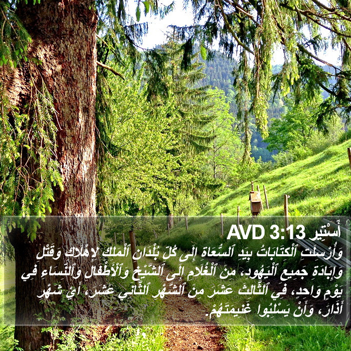 أَسْتِير 3:13 AVD Bible Study