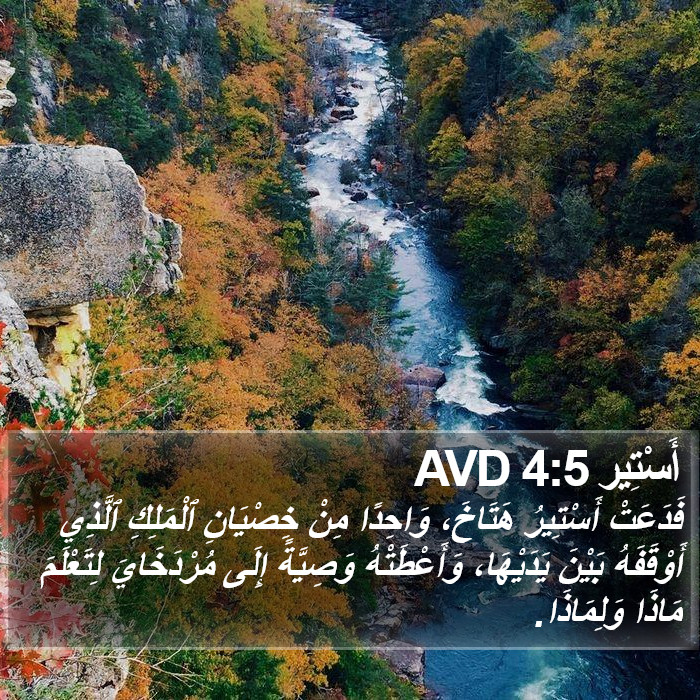 أَسْتِير 4:5 AVD Bible Study