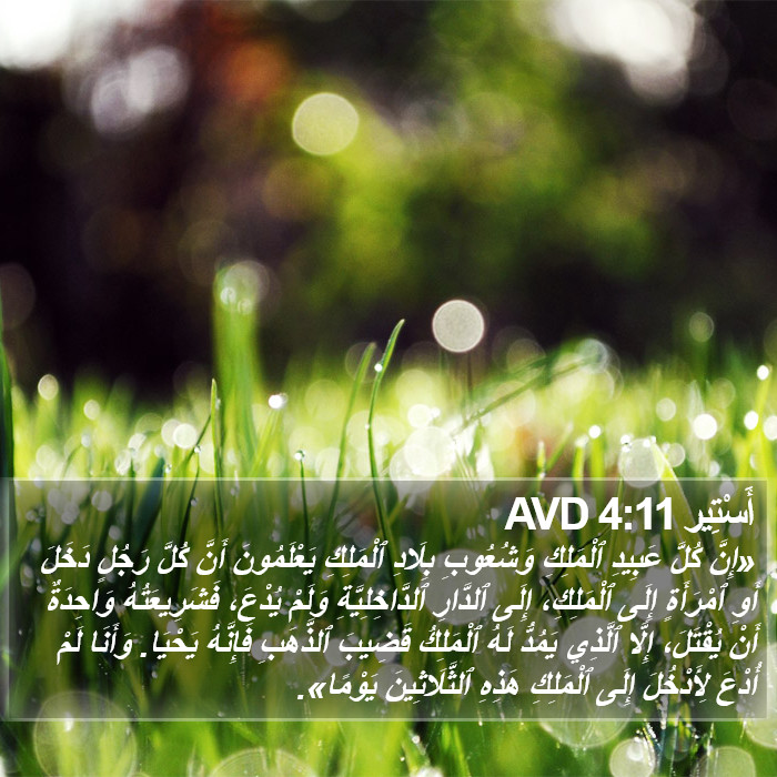 أَسْتِير 4:11 AVD Bible Study