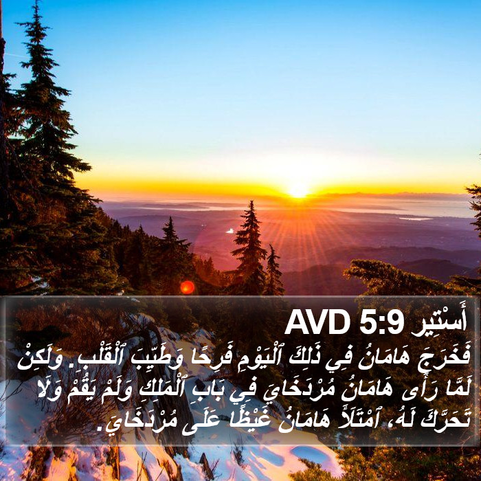 أَسْتِير 5:9 AVD Bible Study