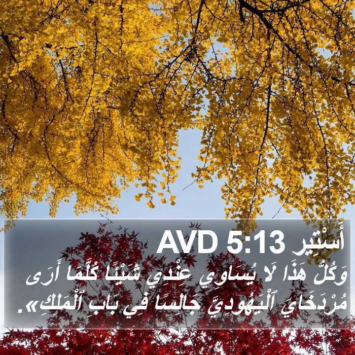 أَسْتِير 5:13 AVD Bible Study