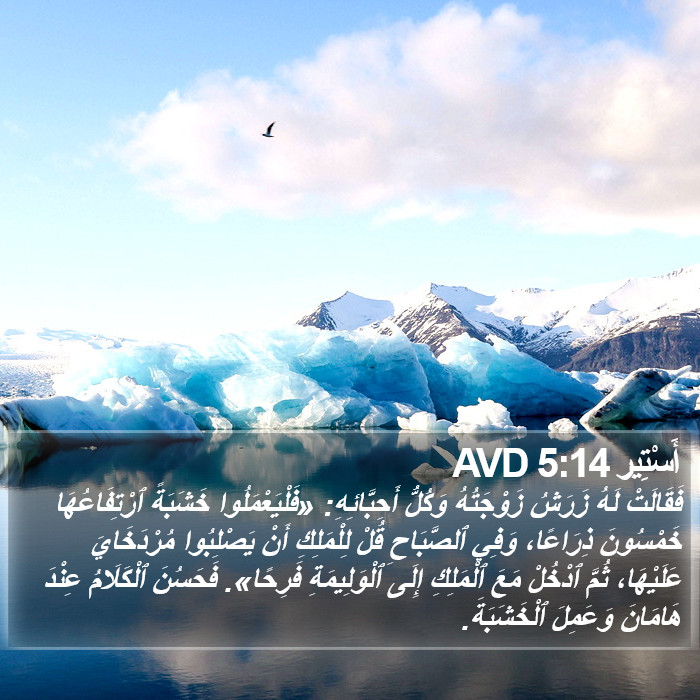 أَسْتِير 5:14 AVD Bible Study