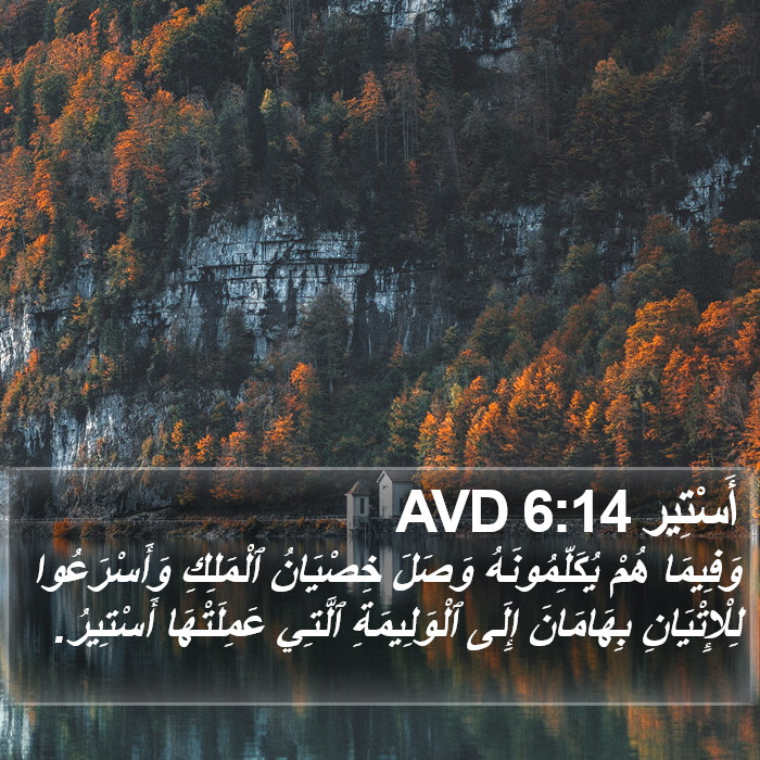 أَسْتِير 6:14 AVD Bible Study