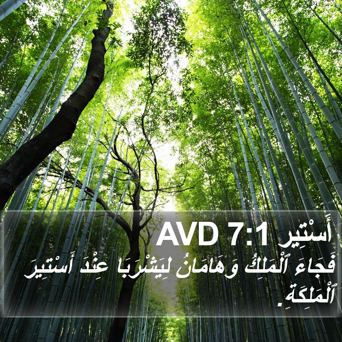أَسْتِير 7:1 AVD Bible Study