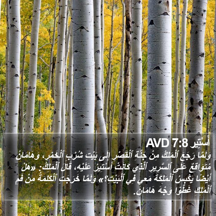 أَسْتِير 7:8 AVD Bible Study
