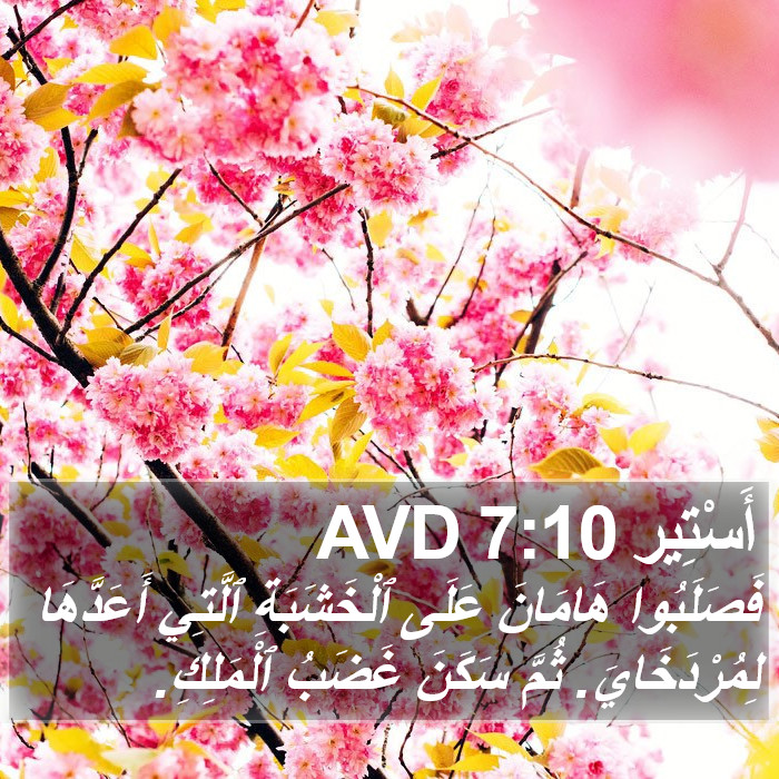 أَسْتِير 7:10 AVD Bible Study