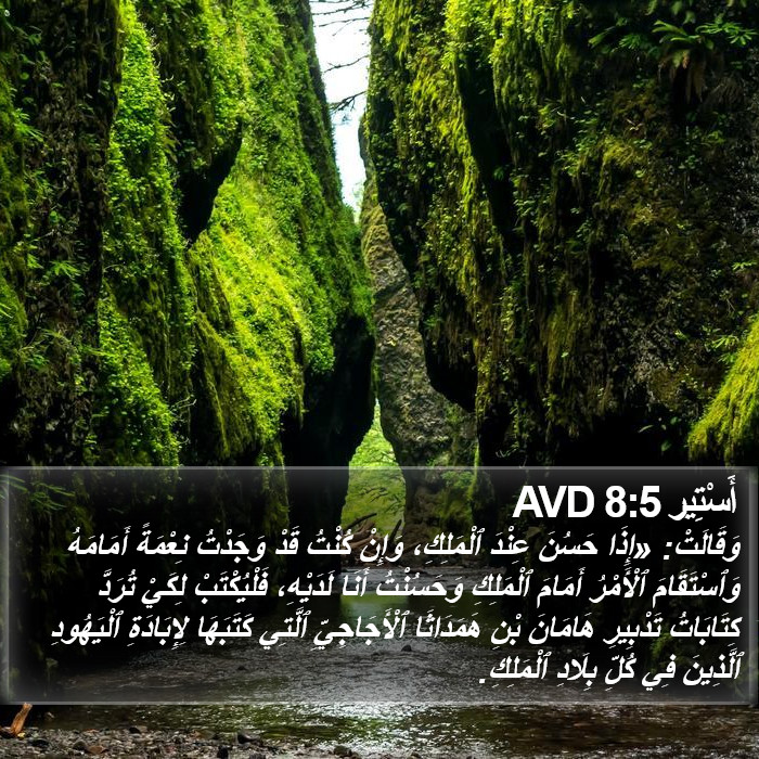 أَسْتِير 8:5 AVD Bible Study