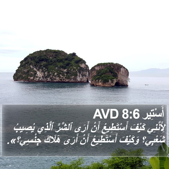 أَسْتِير 8:6 AVD Bible Study