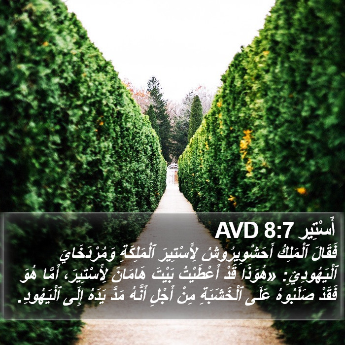 أَسْتِير 8:7 AVD Bible Study