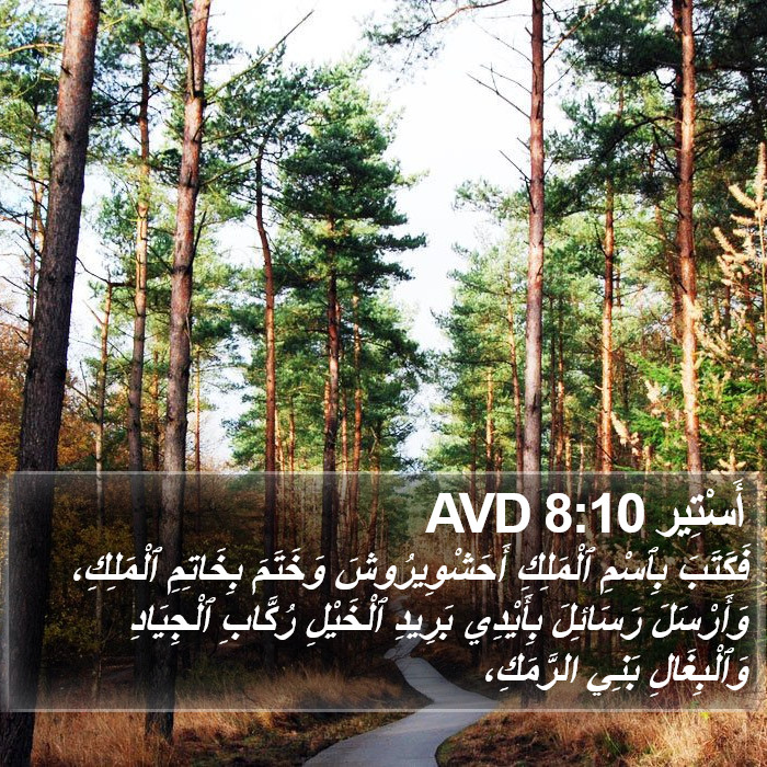 أَسْتِير 8:10 AVD Bible Study