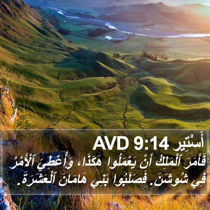 أَسْتِير 9:14 AVD Bible Study
