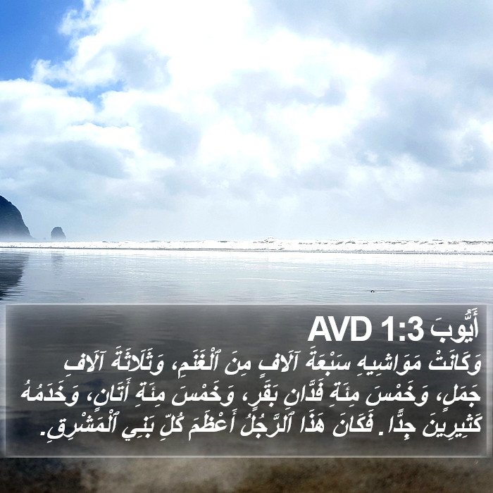 أَيُّوبَ 1:3 AVD Bible Study