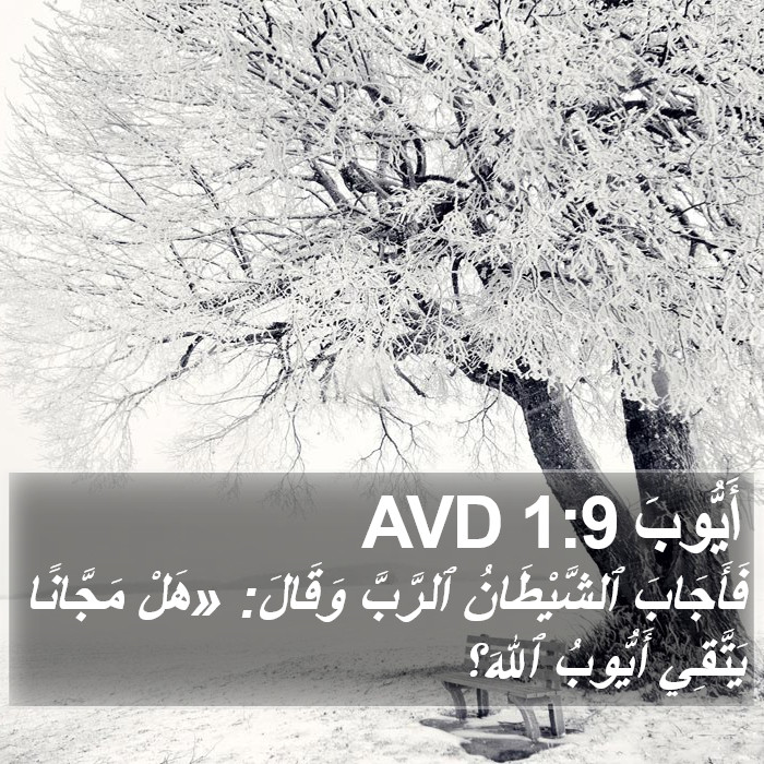 أَيُّوبَ 1:9 AVD Bible Study