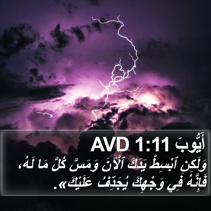 أَيُّوبَ 1:11 AVD Bible Study