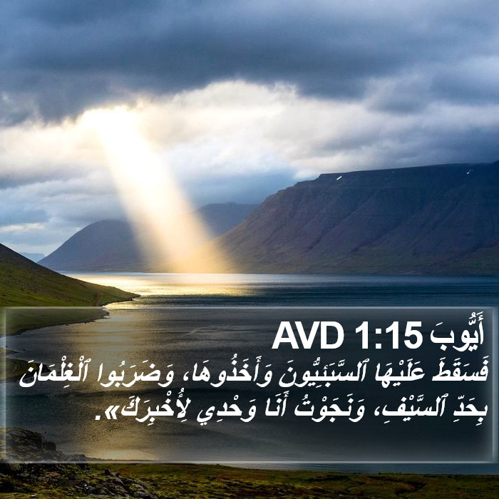 أَيُّوبَ 1:15 AVD Bible Study