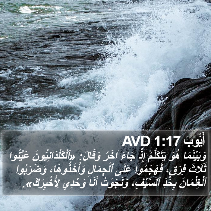 أَيُّوبَ 1:17 AVD Bible Study