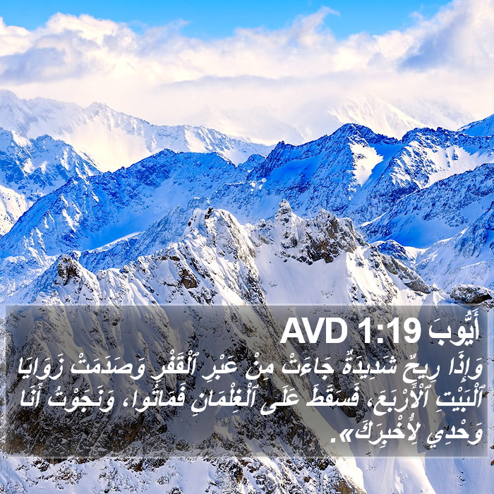 أَيُّوبَ 1:19 AVD Bible Study