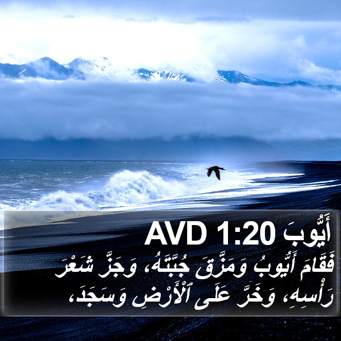 أَيُّوبَ 1:20 AVD Bible Study