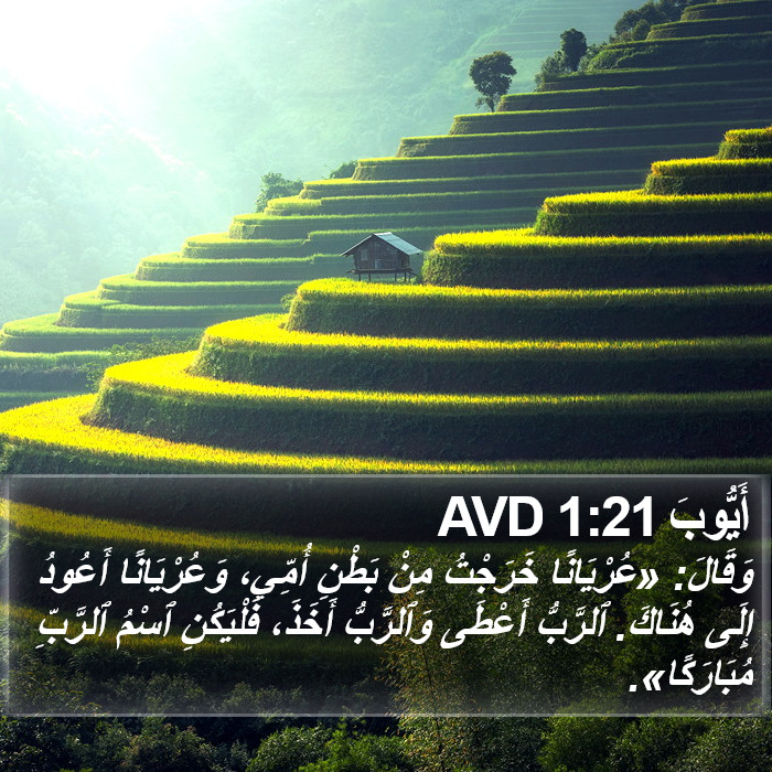 أَيُّوبَ 1:21 AVD Bible Study