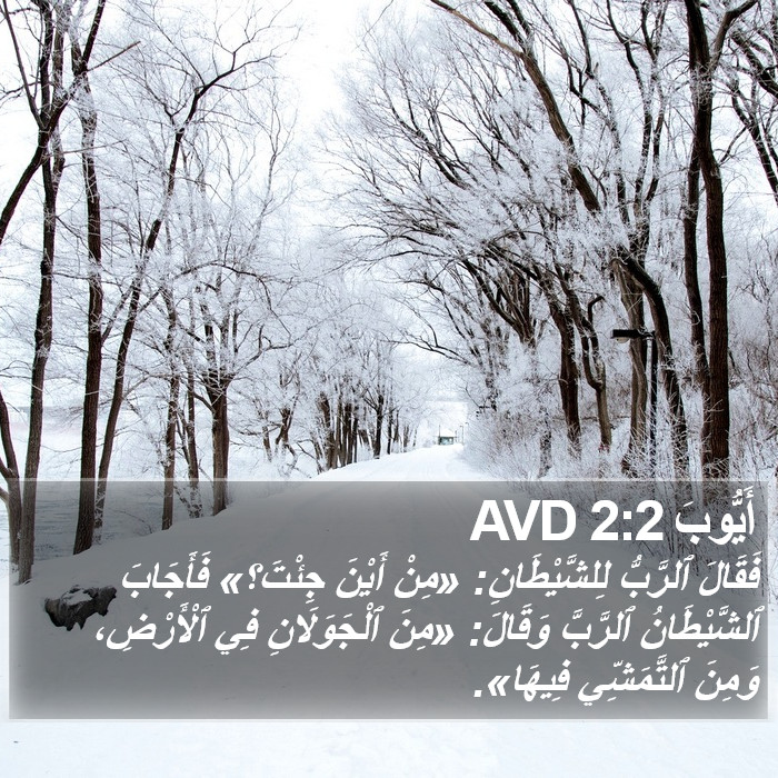 أَيُّوبَ 2:2 AVD Bible Study