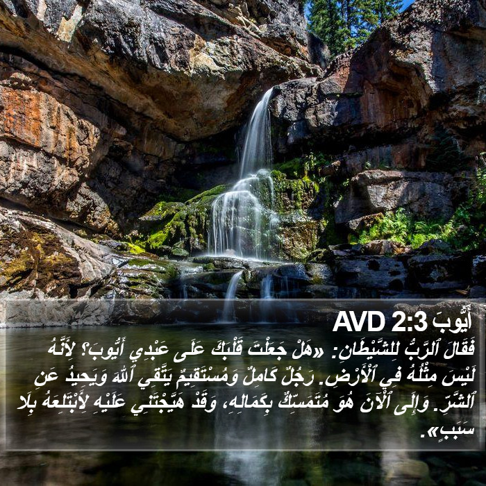 أَيُّوبَ 2:3 AVD Bible Study