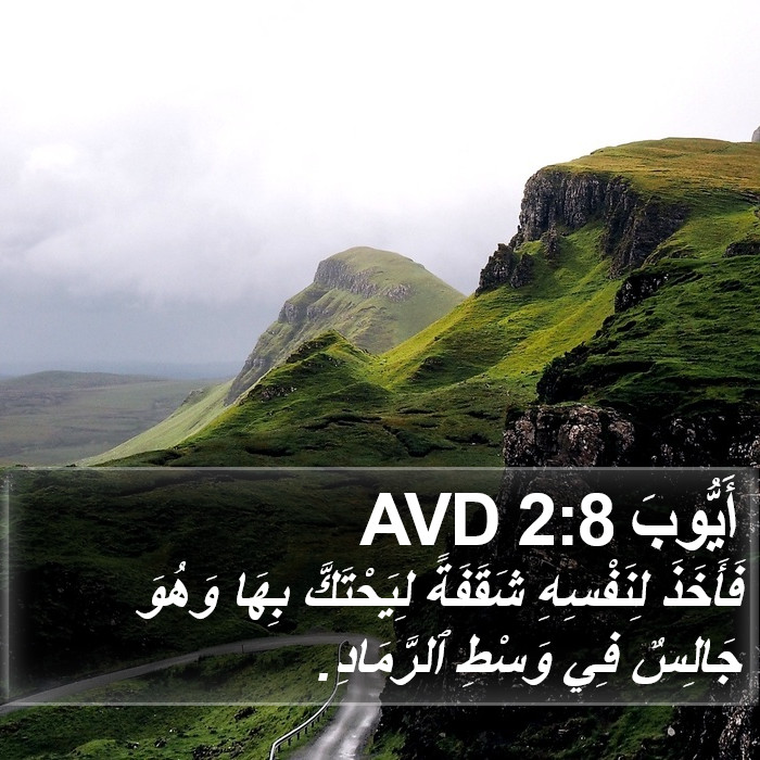 أَيُّوبَ 2:8 AVD Bible Study
