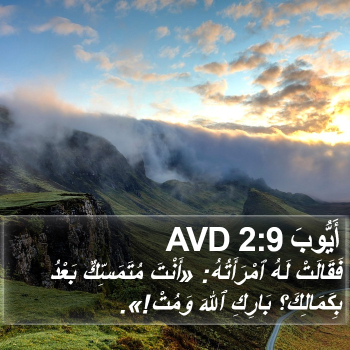أَيُّوبَ 2:9 AVD Bible Study