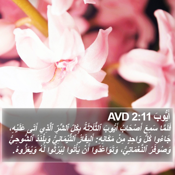أَيُّوبَ 2:11 AVD Bible Study