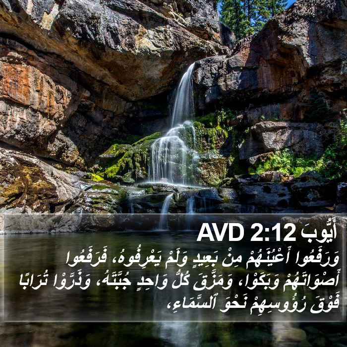 أَيُّوبَ 2:12 AVD Bible Study