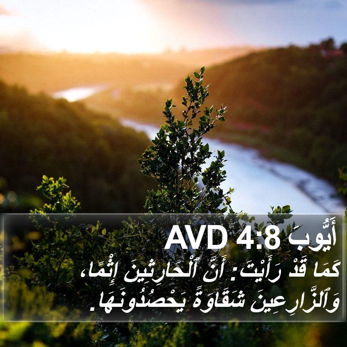 أَيُّوبَ 4:8 AVD Bible Study