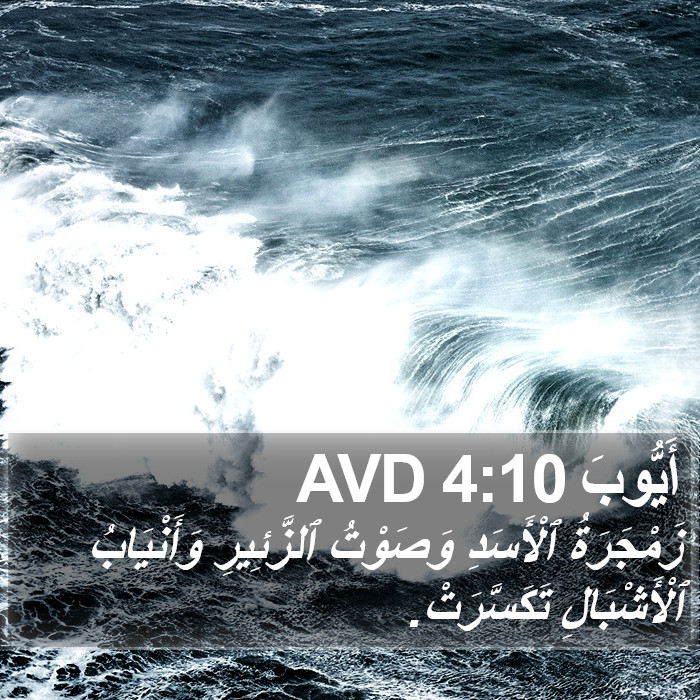 أَيُّوبَ 4:10 AVD Bible Study